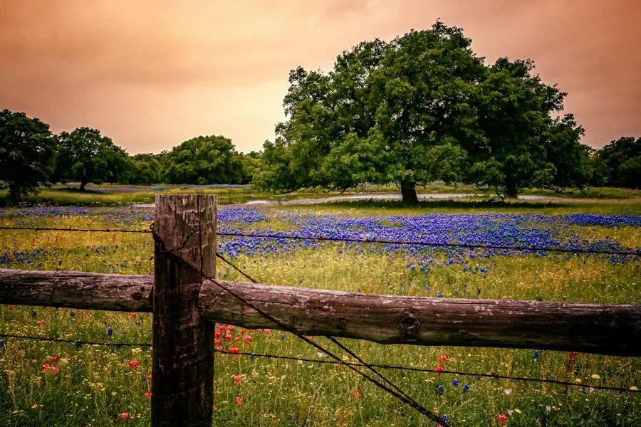 Texas land