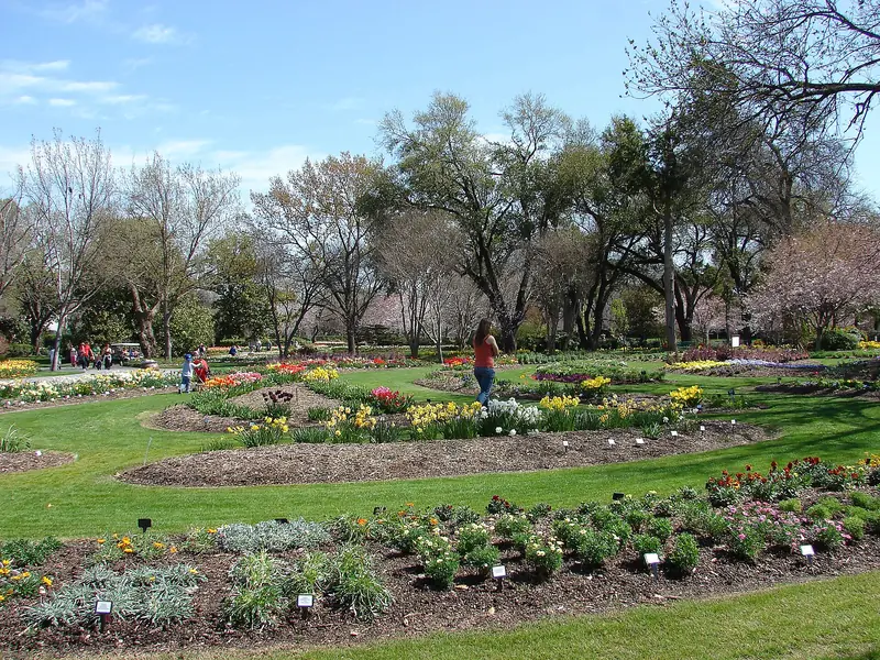 Flower gardens at the Dallas Arboretum and Botanical Garden